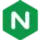 nginx.org icon