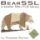 www.bearssl.org icon